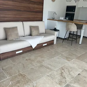 Magnifique Avec Piscine , Arles France
